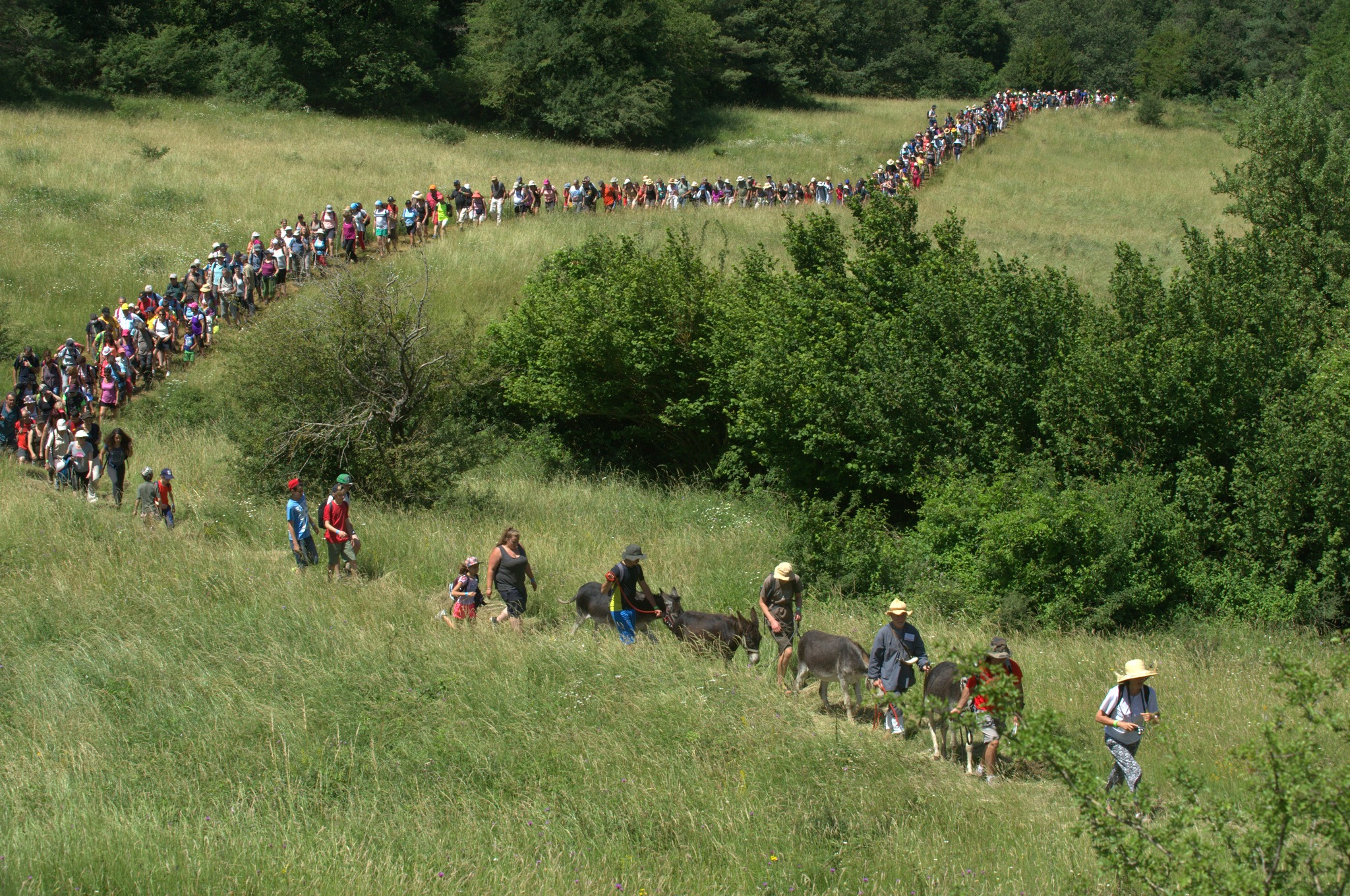 LA MARCHE DU SEL COLONNE