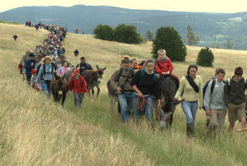 La Marche du Sel